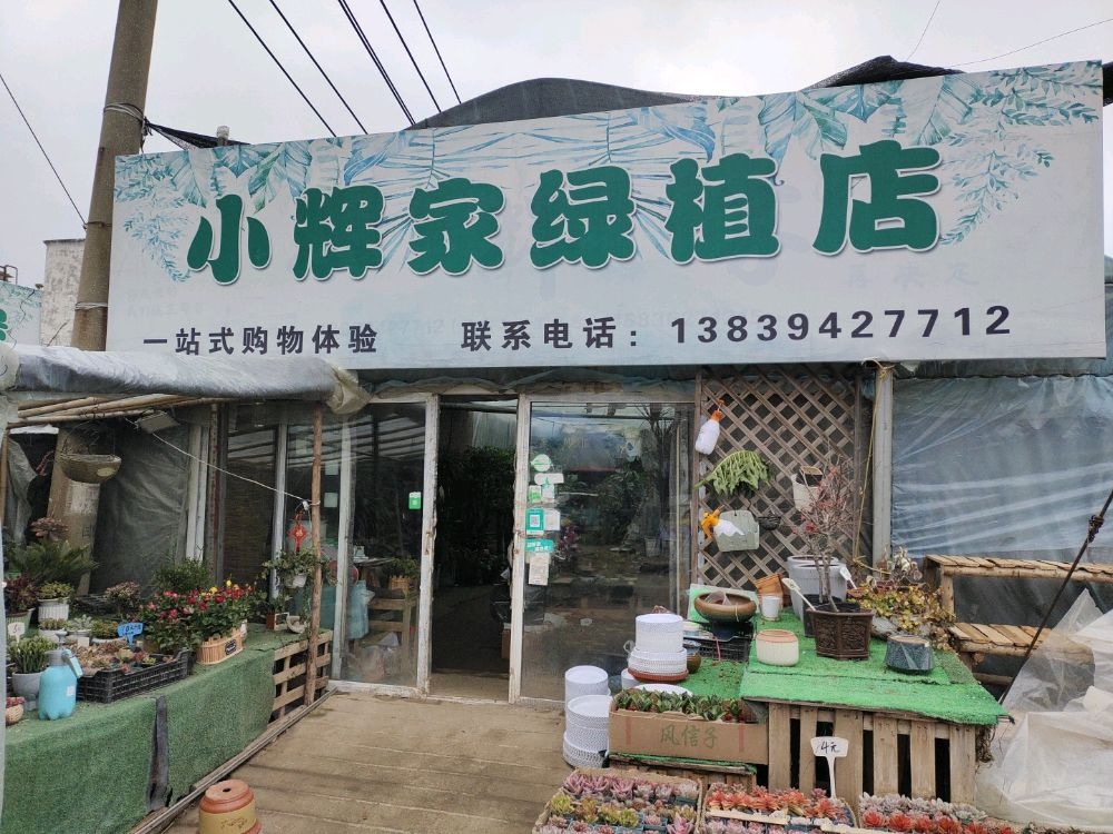 小辉家绿植店