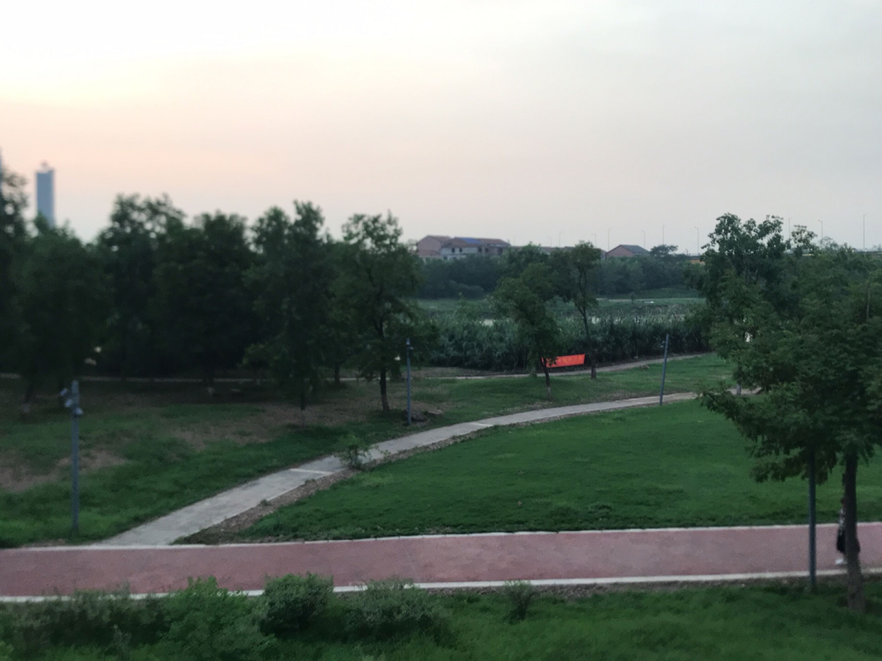 濂溪公园-露营地