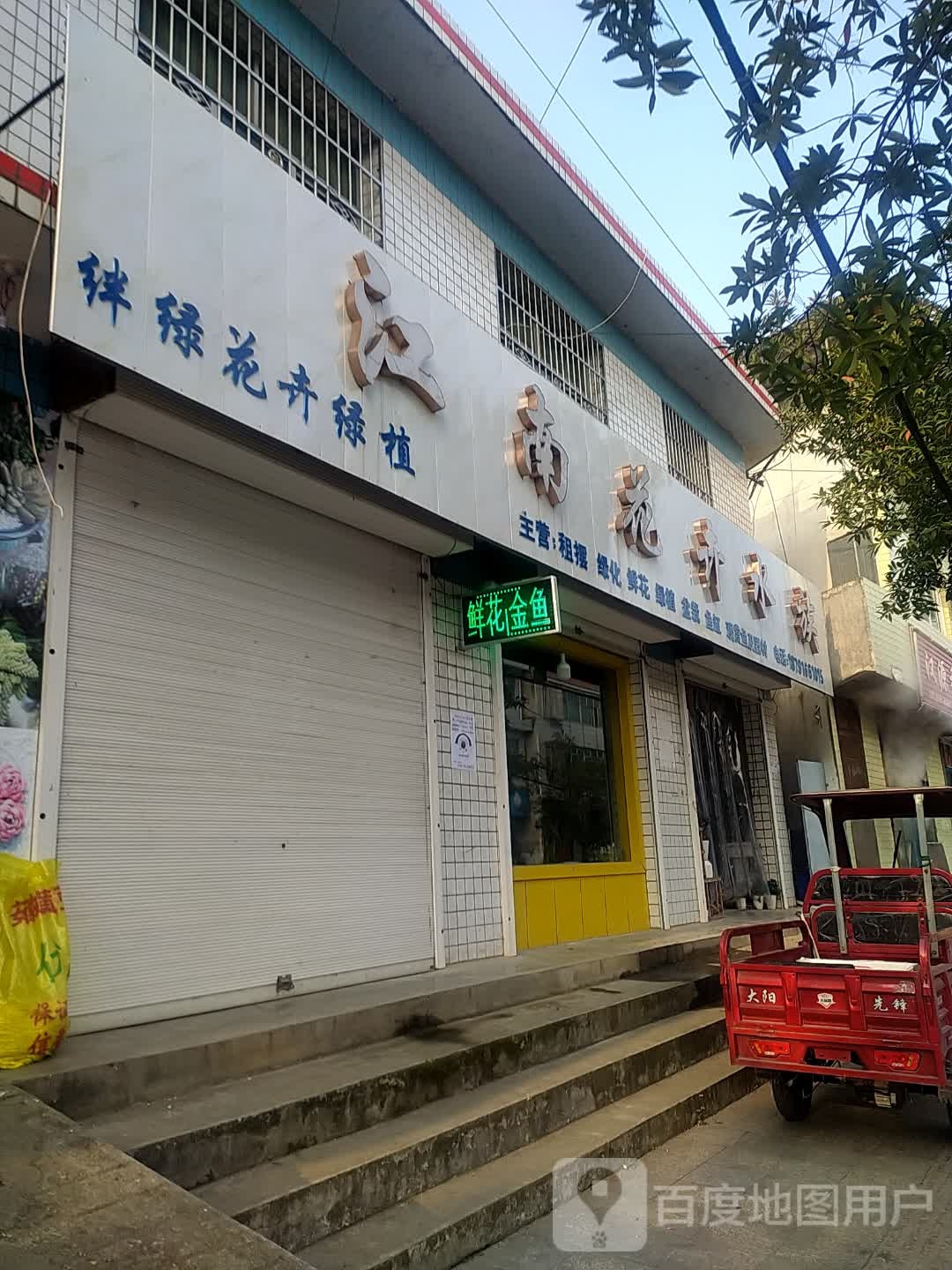江南花卉水族
