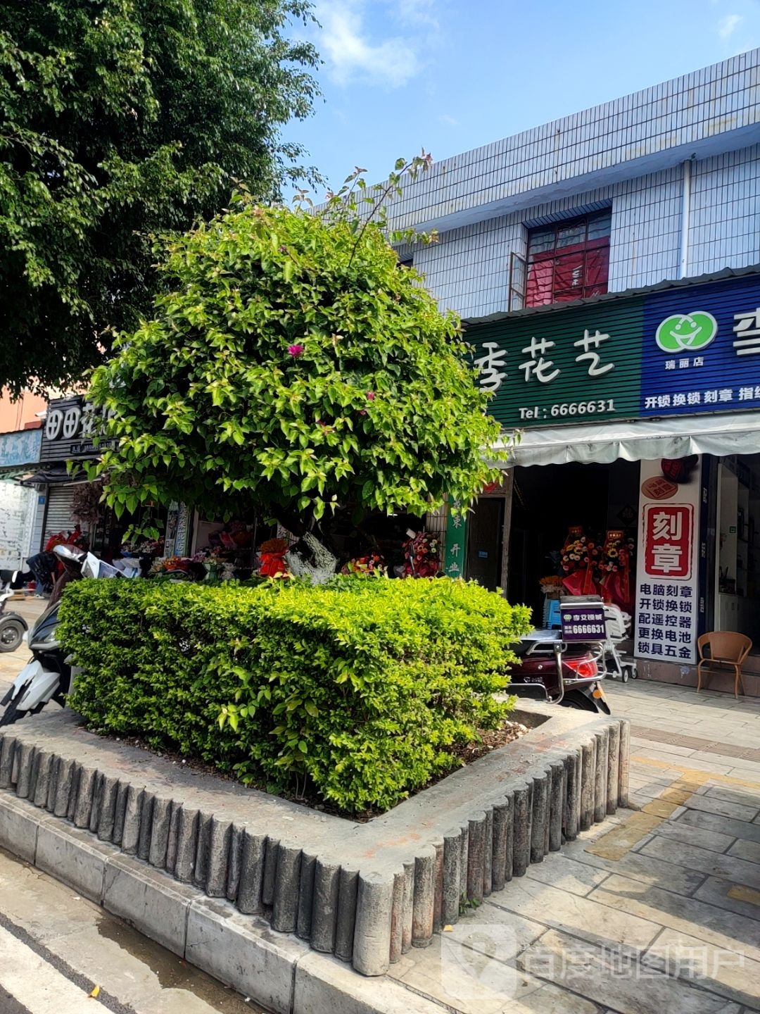 四季花艺(人民路鲜花店)