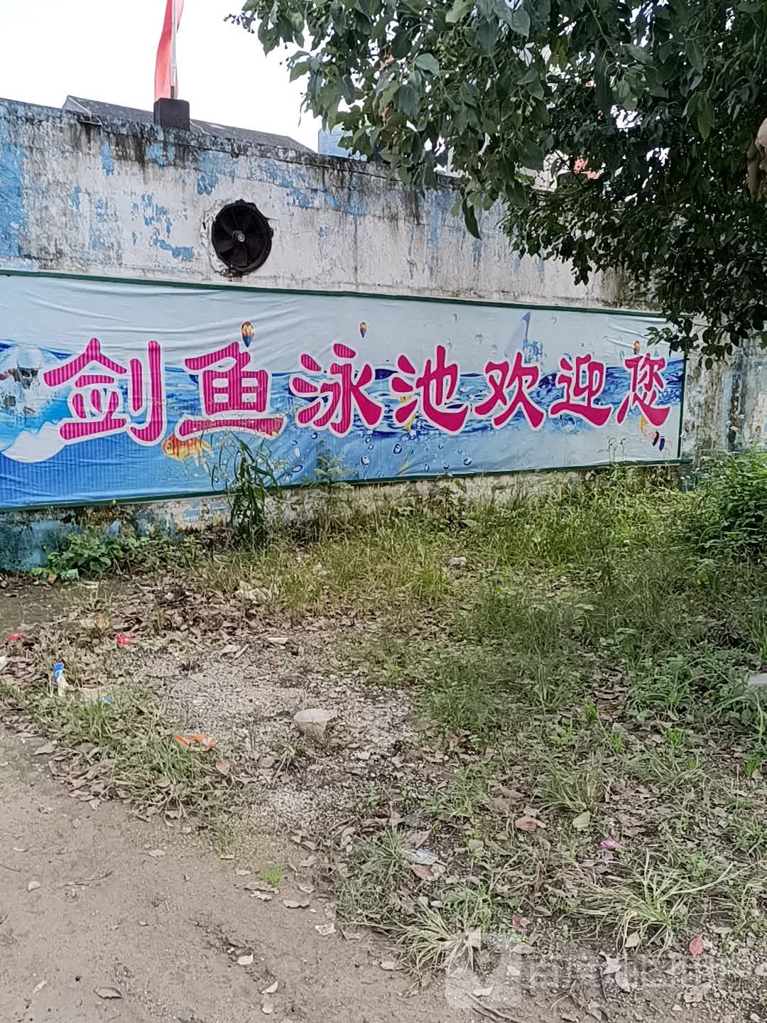 金乡剑鱼游泳池