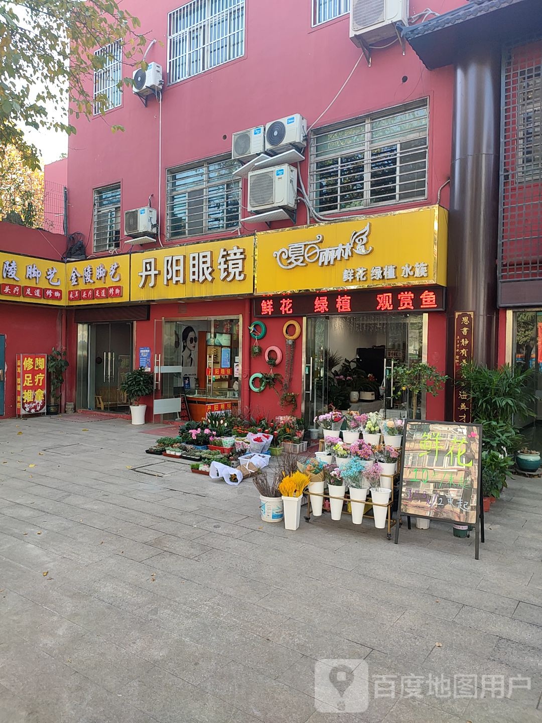 夏日雨淋水族鲜花(华电路店)