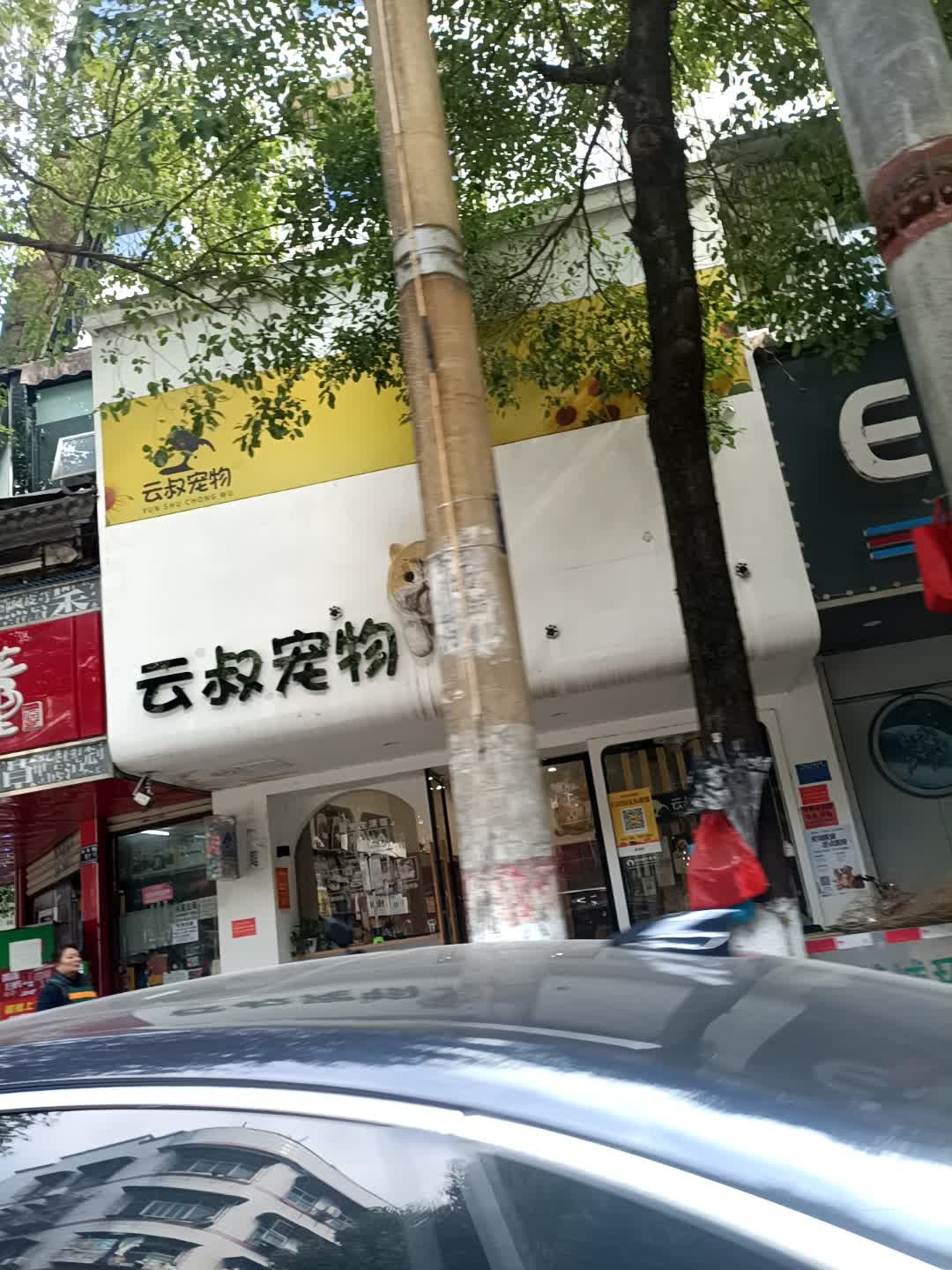 云叔宠物店·猫舍·高端洗护·寄养(城信花园店)