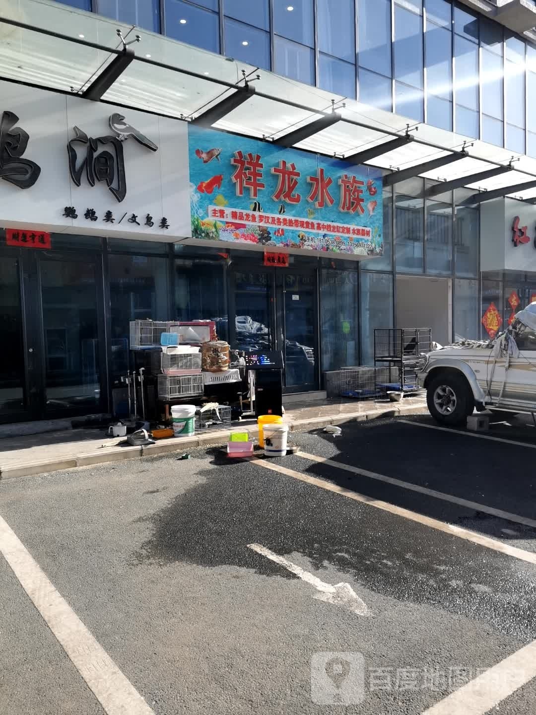 祥龙水族(向阳路店)