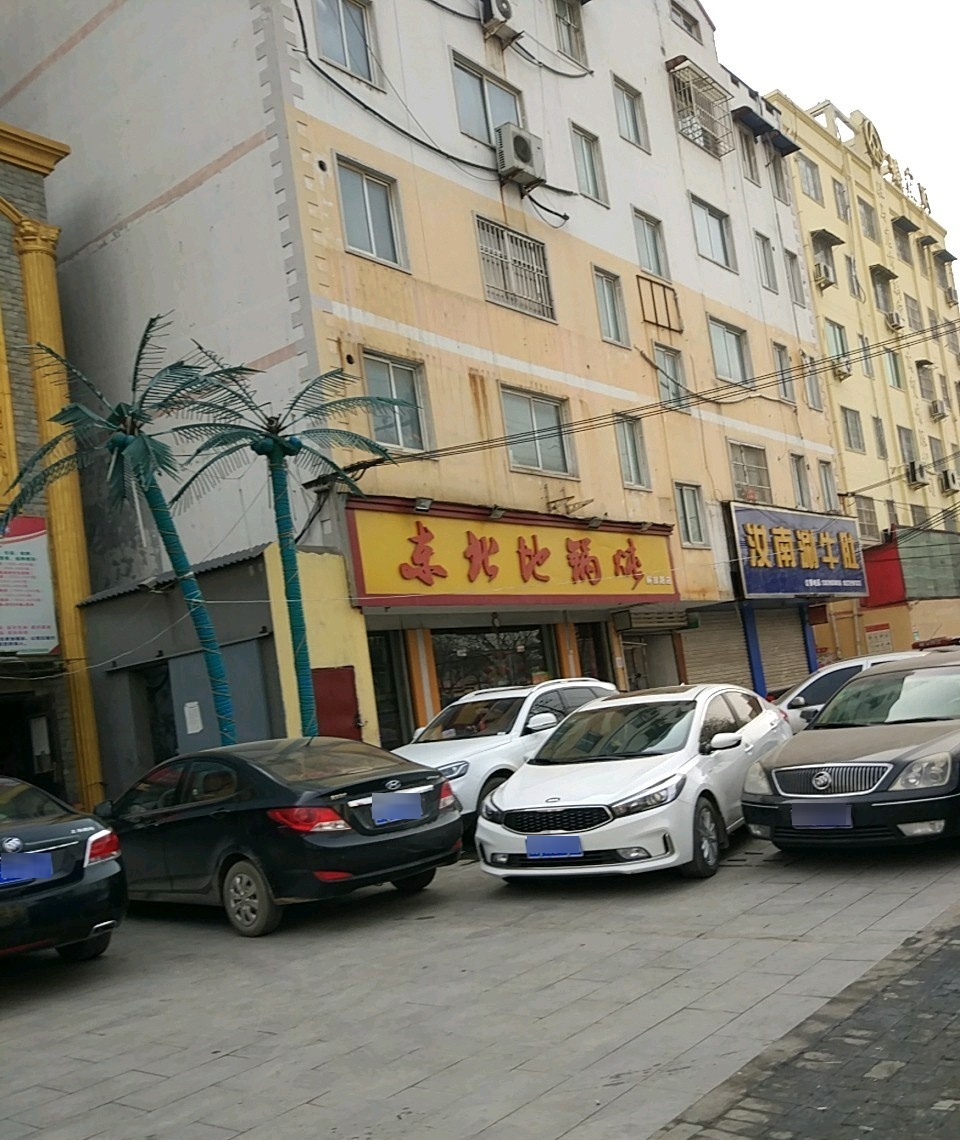 东北地锅炖(解放路店)