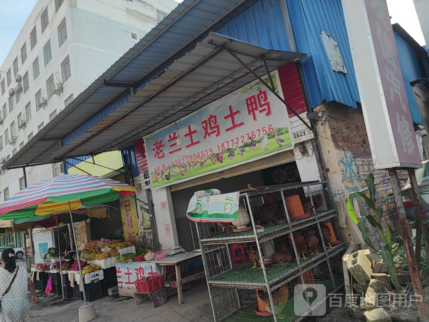 ·老土鸡土鸭