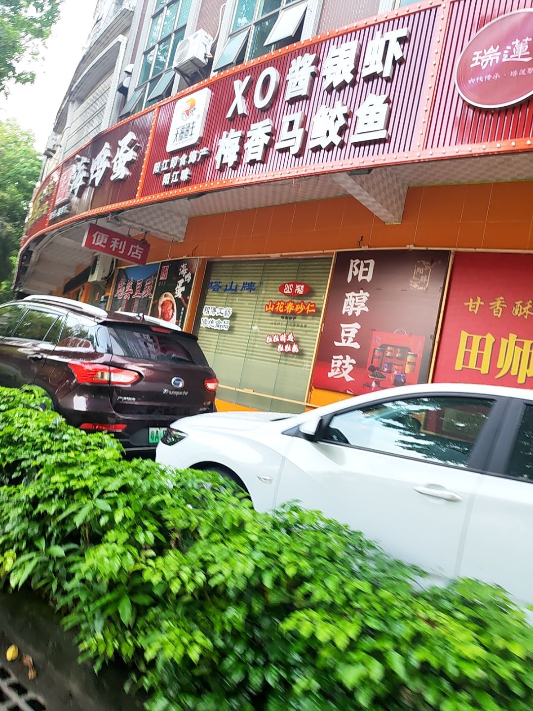 XO酱银虾梅香马鲛鱼