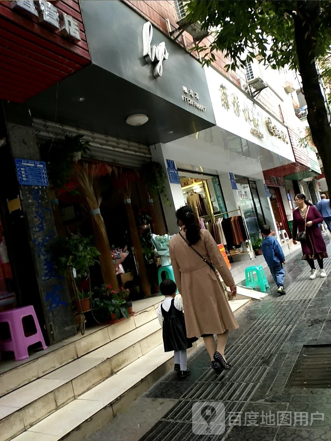 恋蝶花(重庆黔江区)