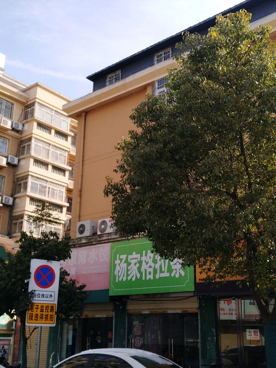 杨家多格条(浙江商贸城店)