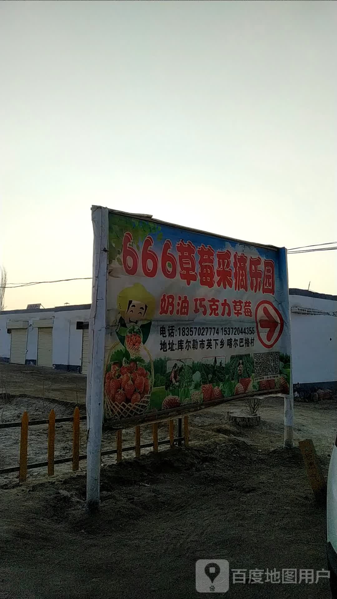 666草莓采摘乐园