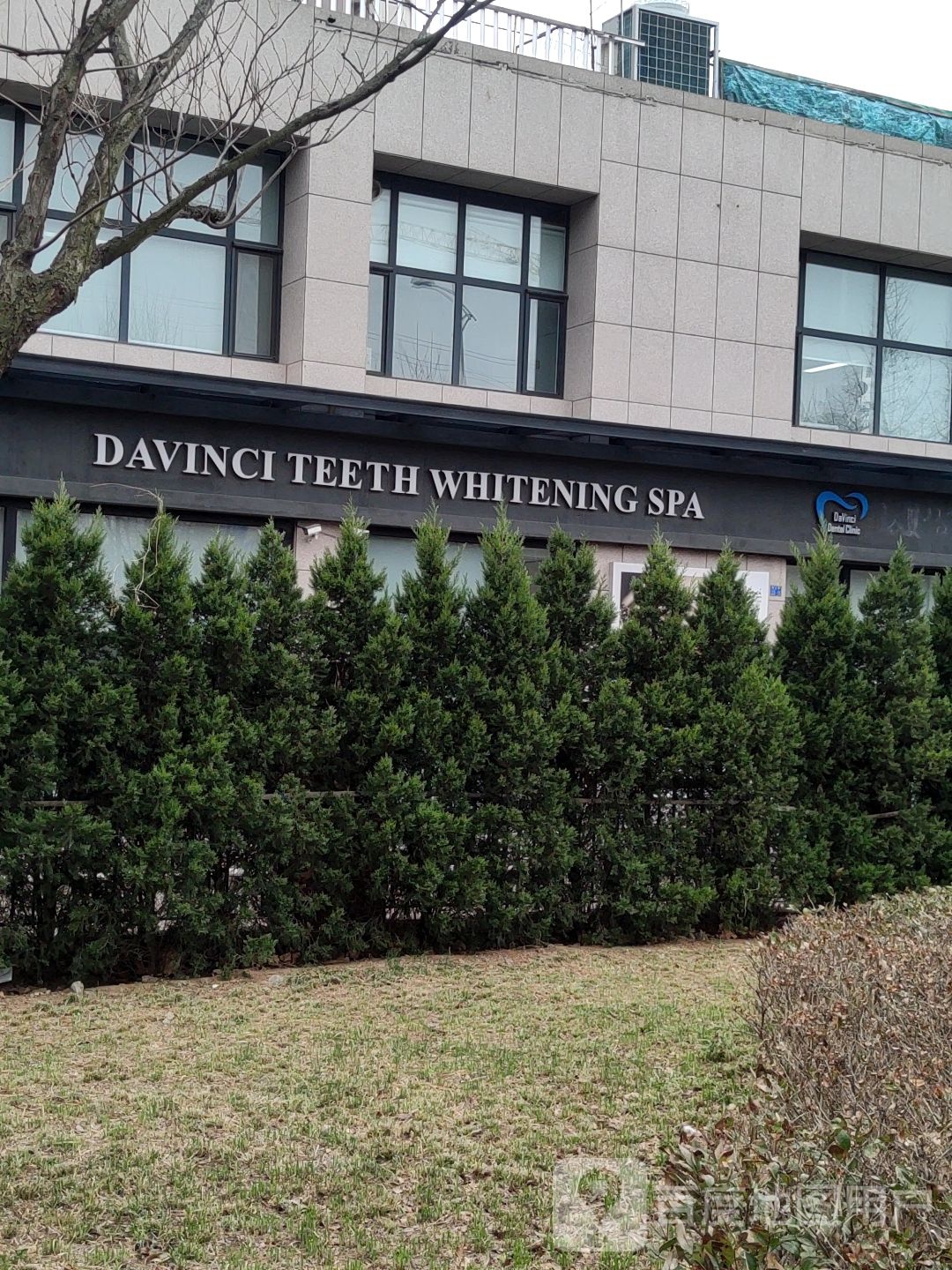 DAVINCI TEETH WHITENING SPA