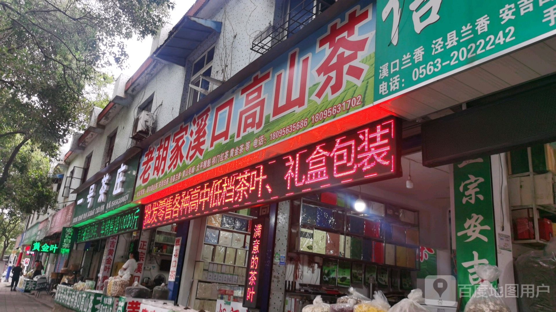 老胡家溪口高山茶