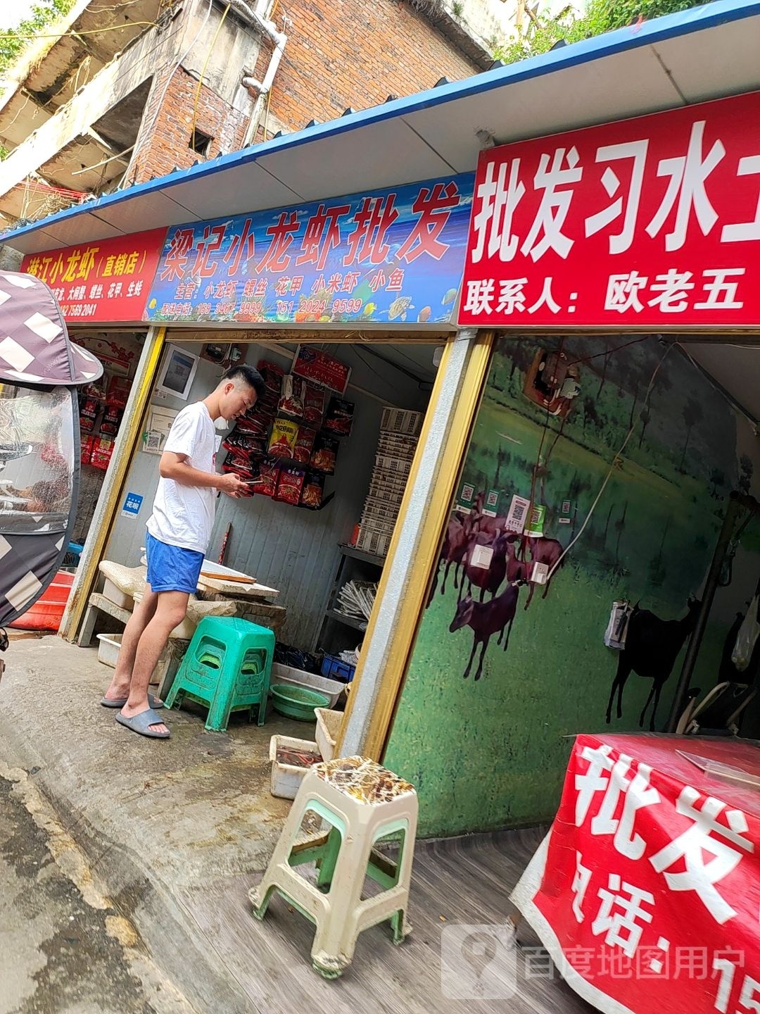 梁记小龙虾批发
