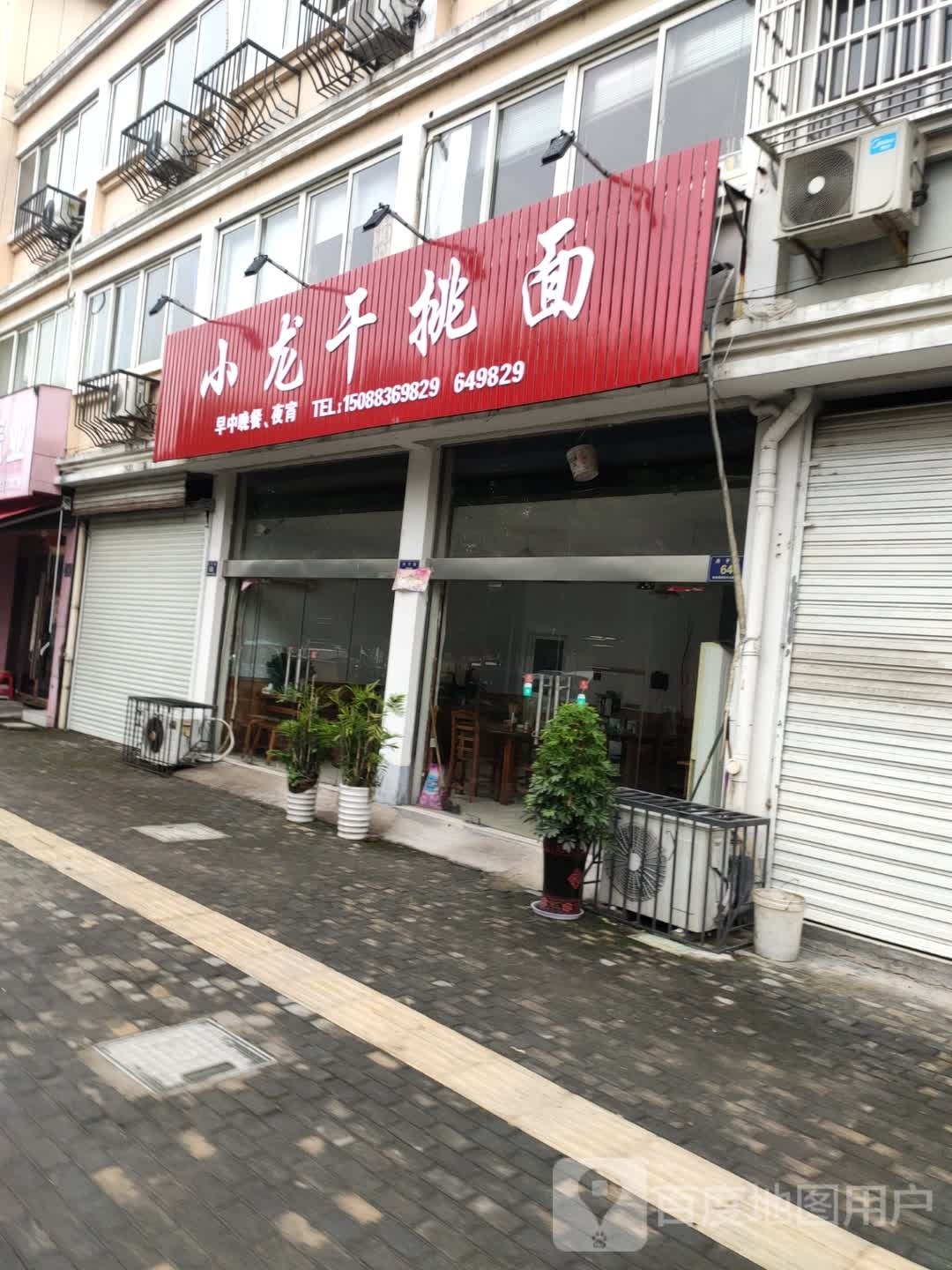 小龙干挑苗