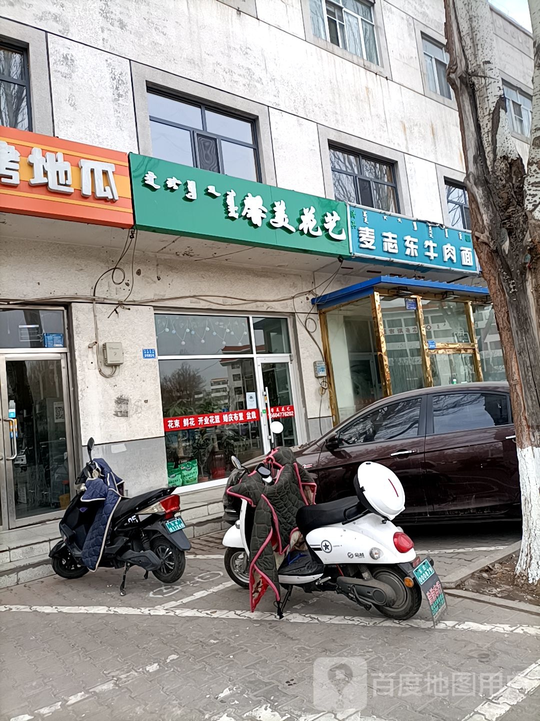 馨美花一