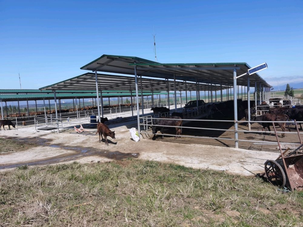 东方市荣鑫牧业有限公司