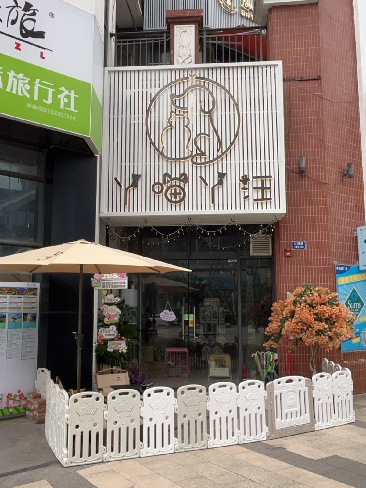 丫喵丫汪