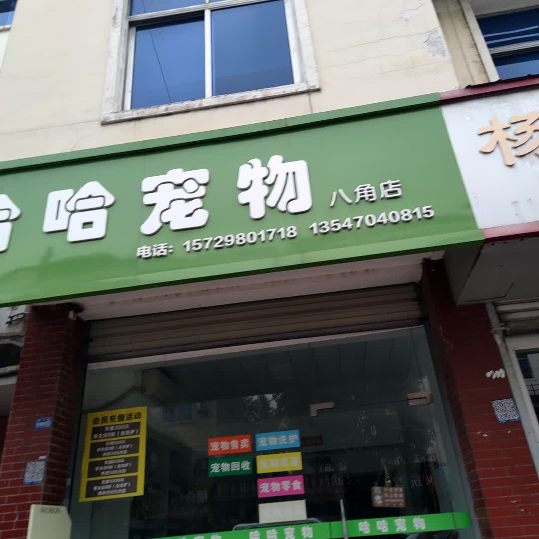 哈哈宠物(德钢宿舍二区店)