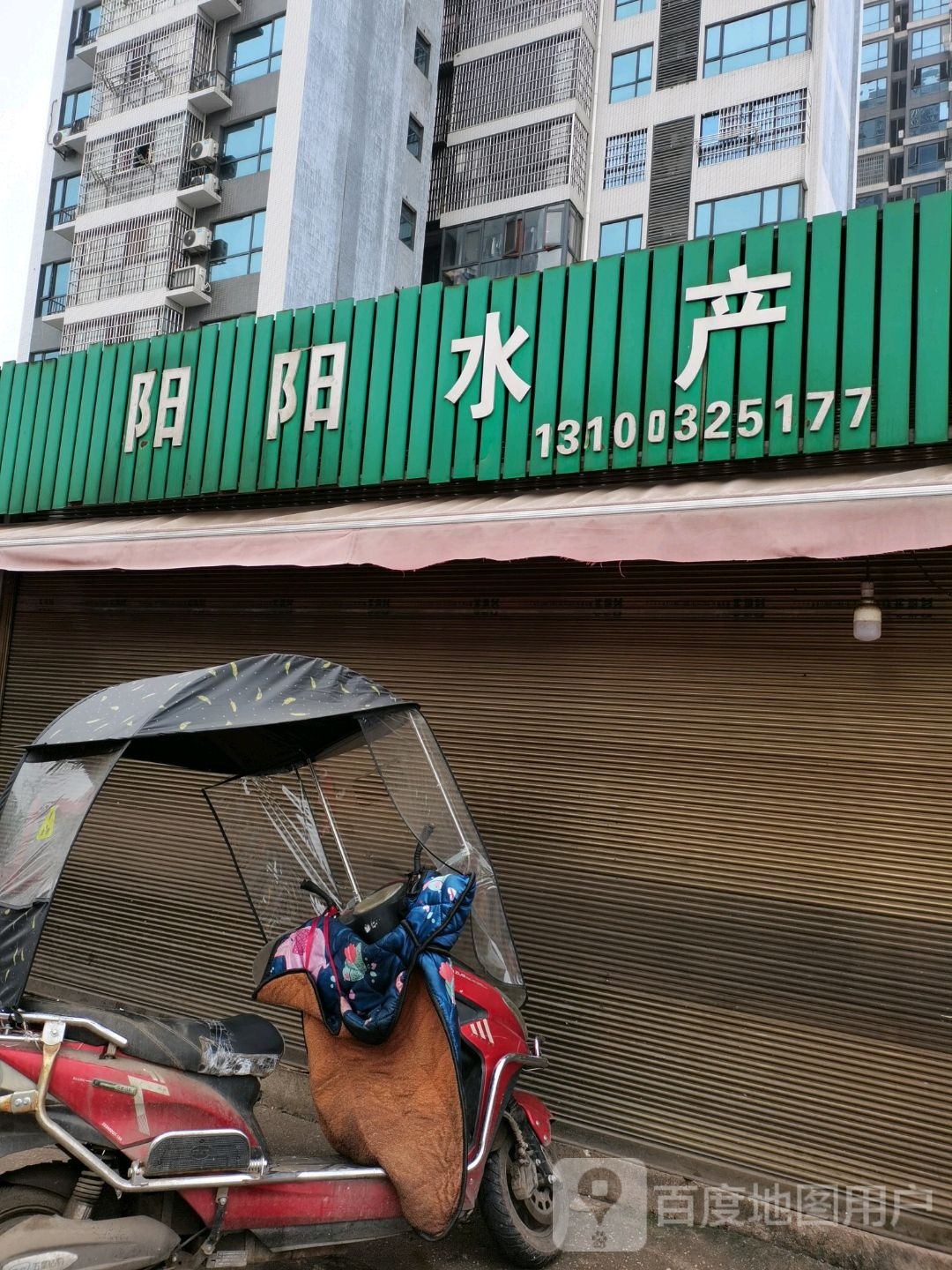 阳洋水产