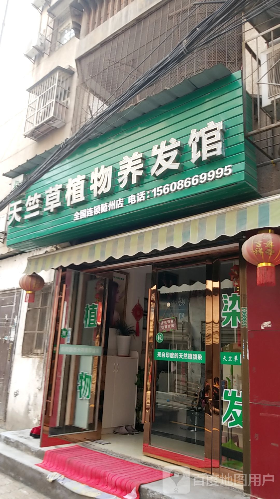 天竺草(聚玉街店)