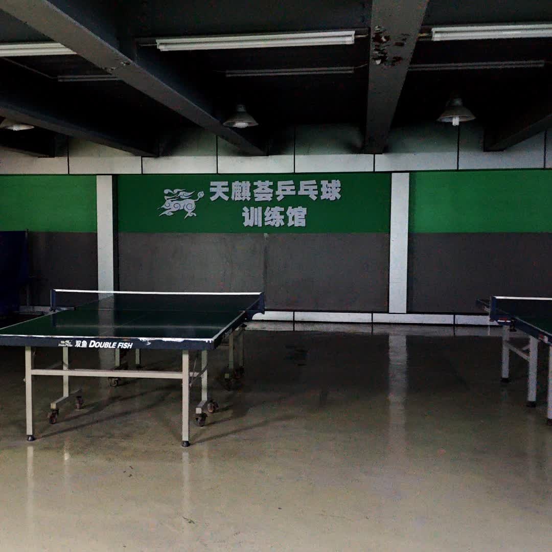 天麒荟乒乓球训练馆(乐从镇中欧电商城店)