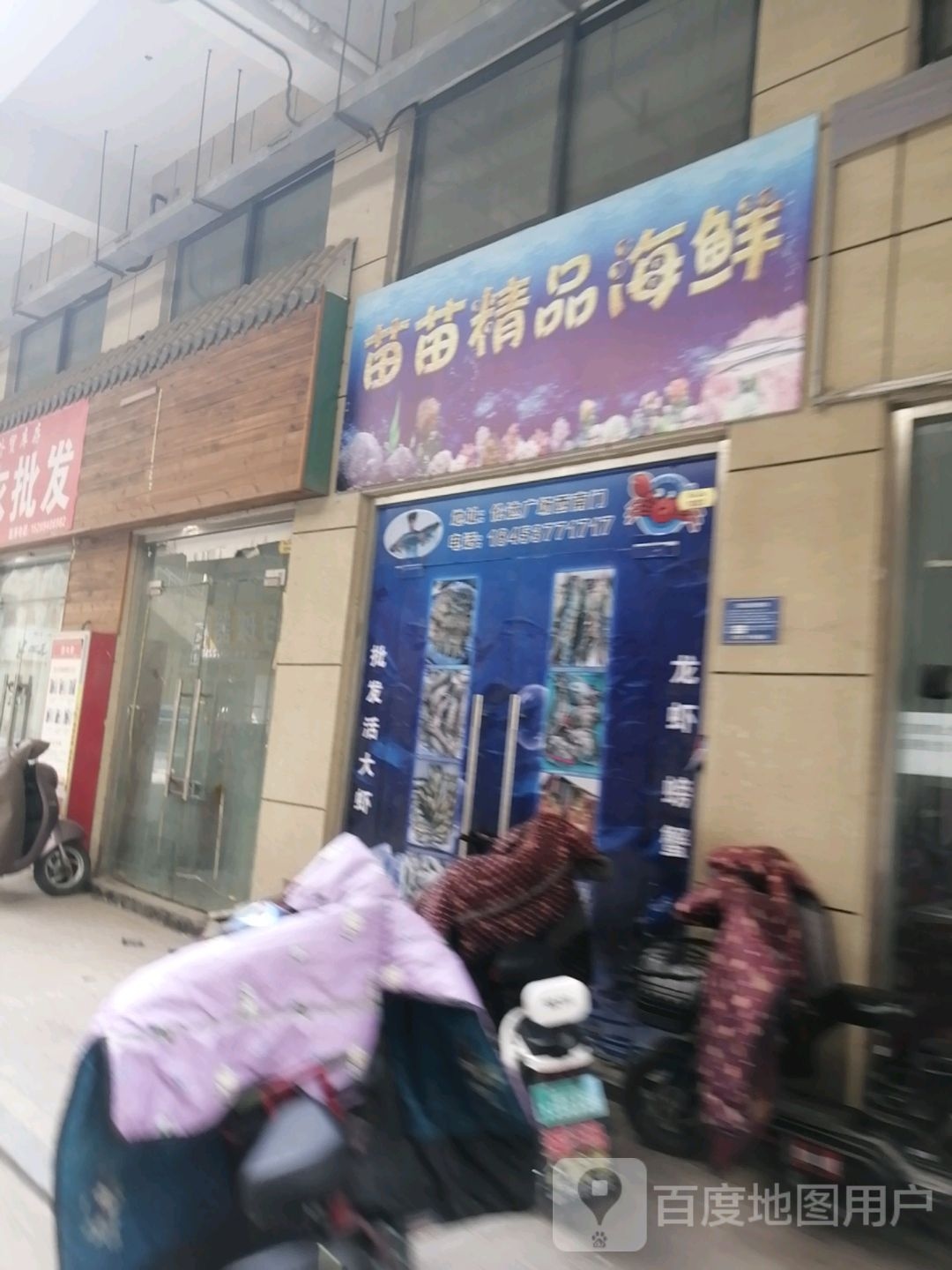 苗苗饰品海鲜