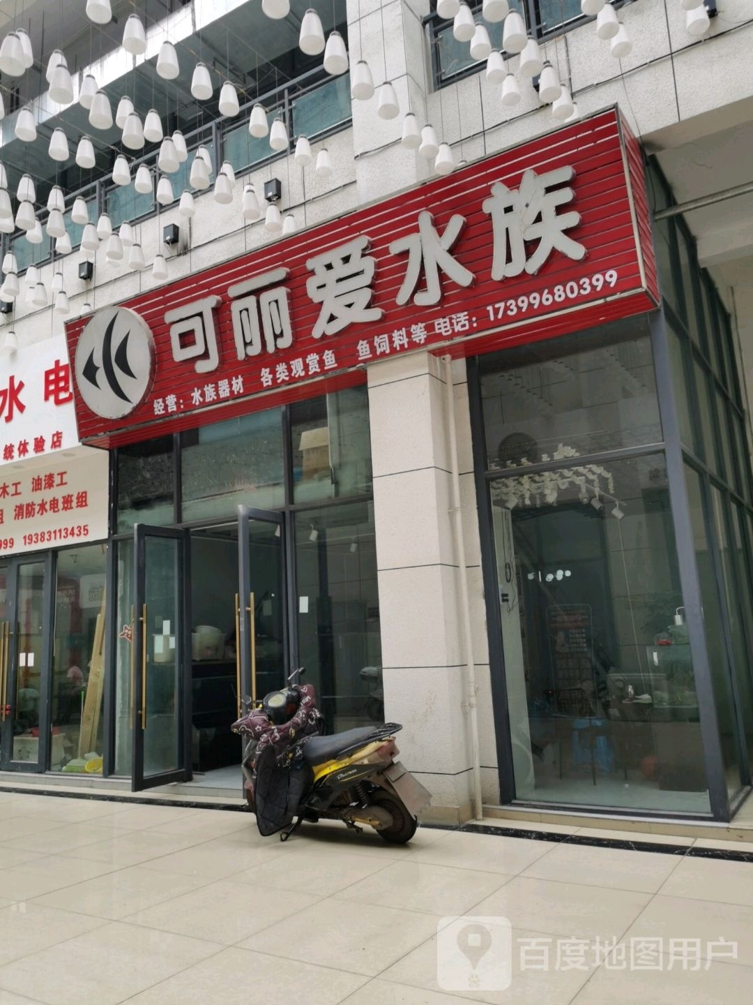 可爱丽水族
