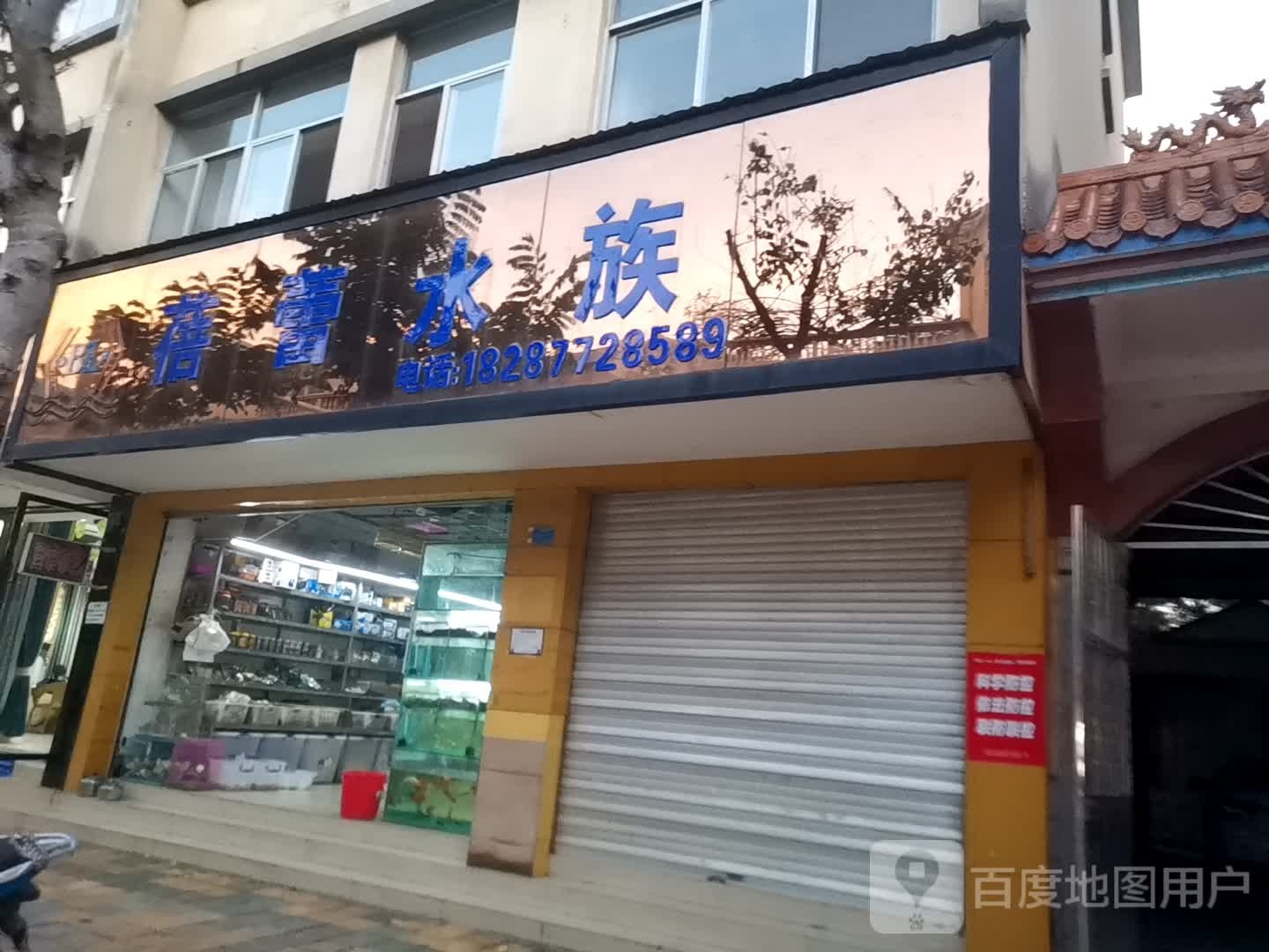 蕾幼儿水族