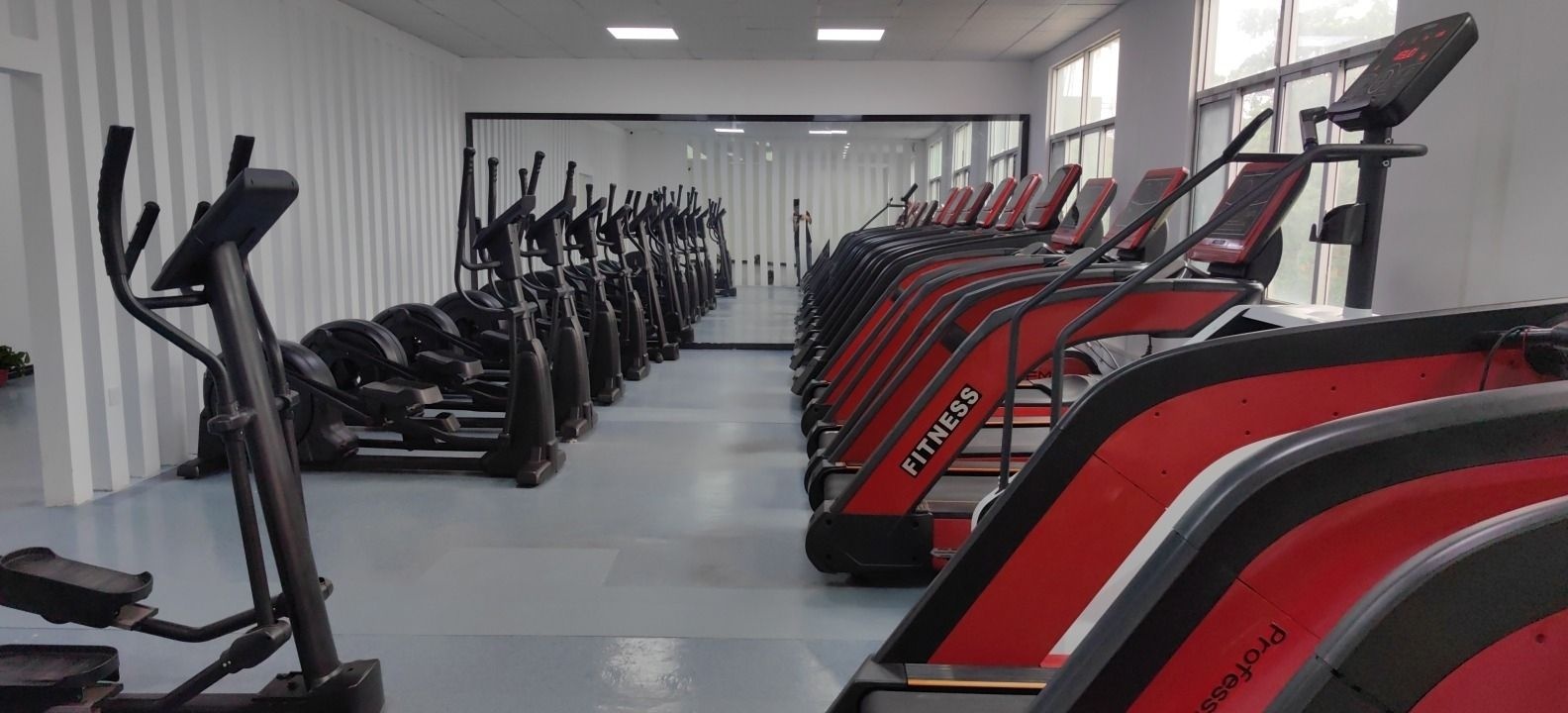 极光减肥训练营