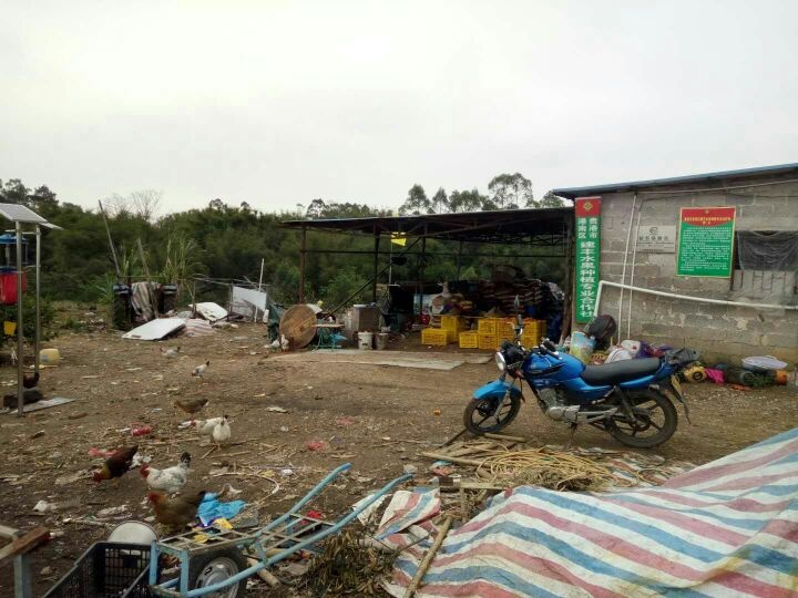 贵港市港南区建丰水果种植专业合作社