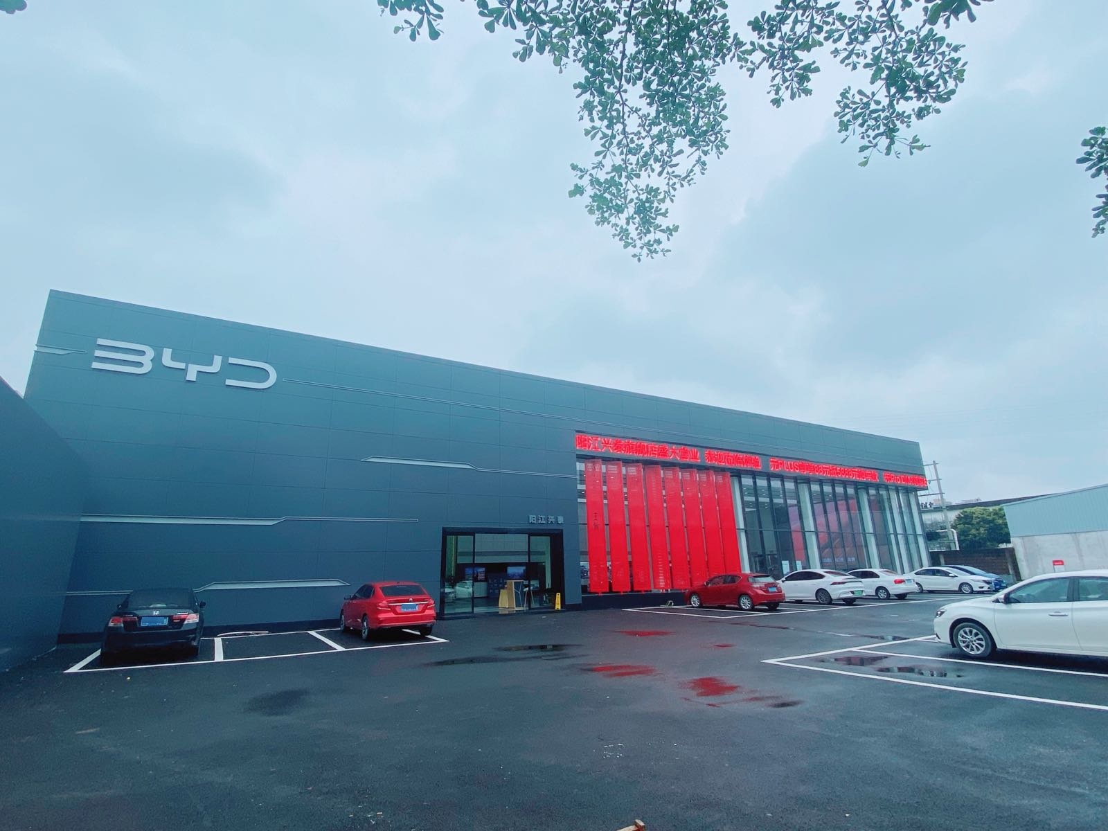 比亚迪汽车王朝网(阳江兴泰4S店)