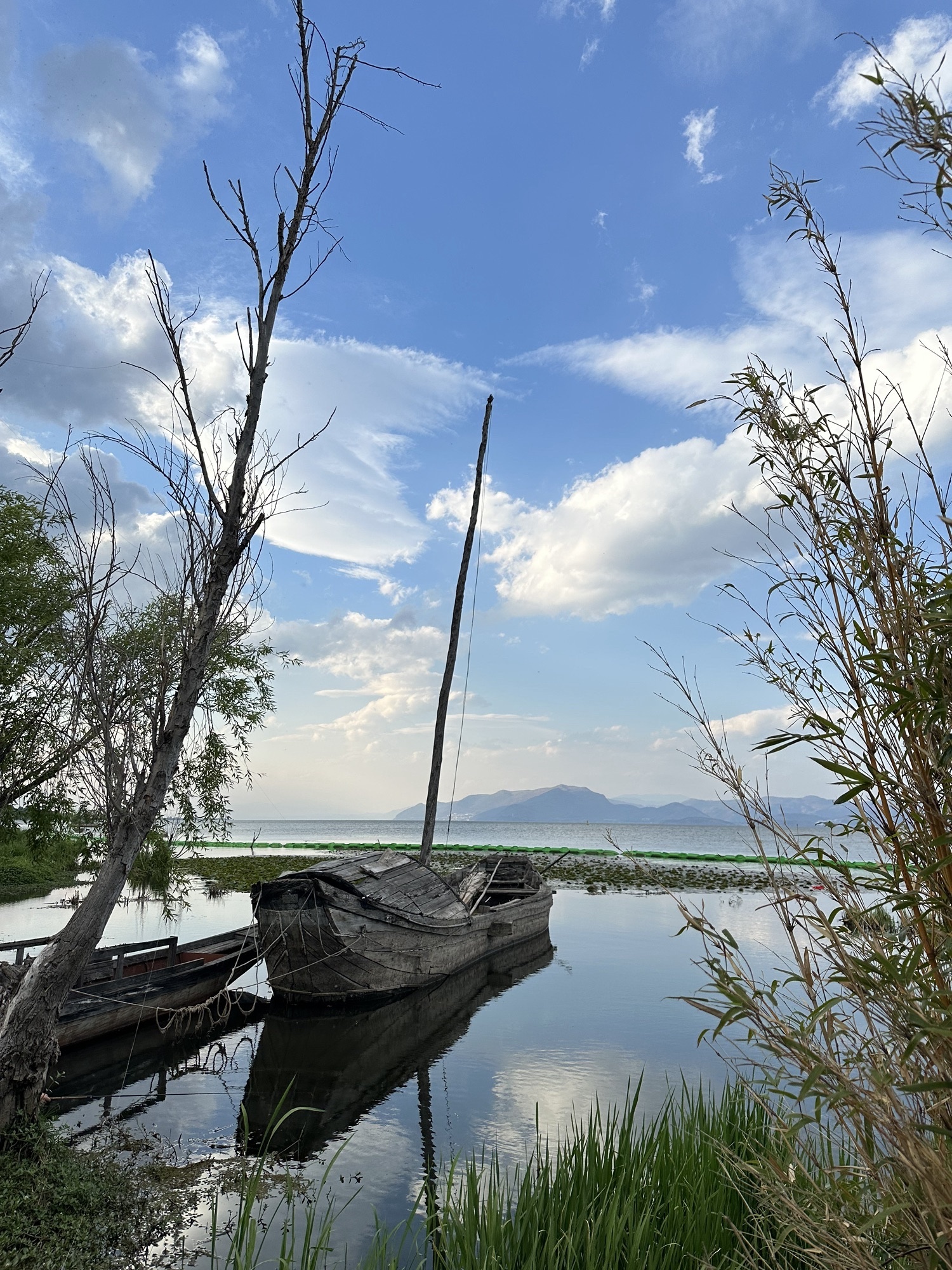 洱海月湿地