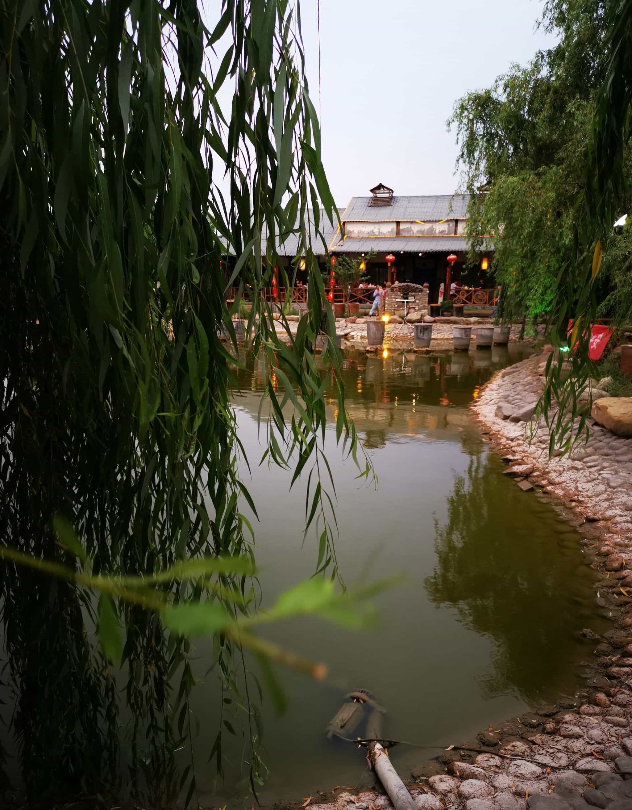 大清花农场