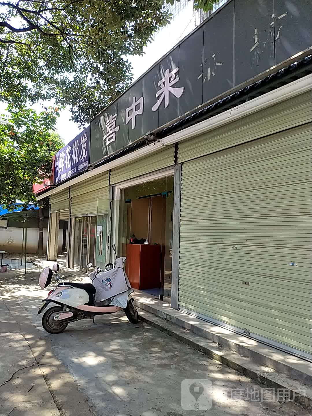 勿忘我鲜花批发