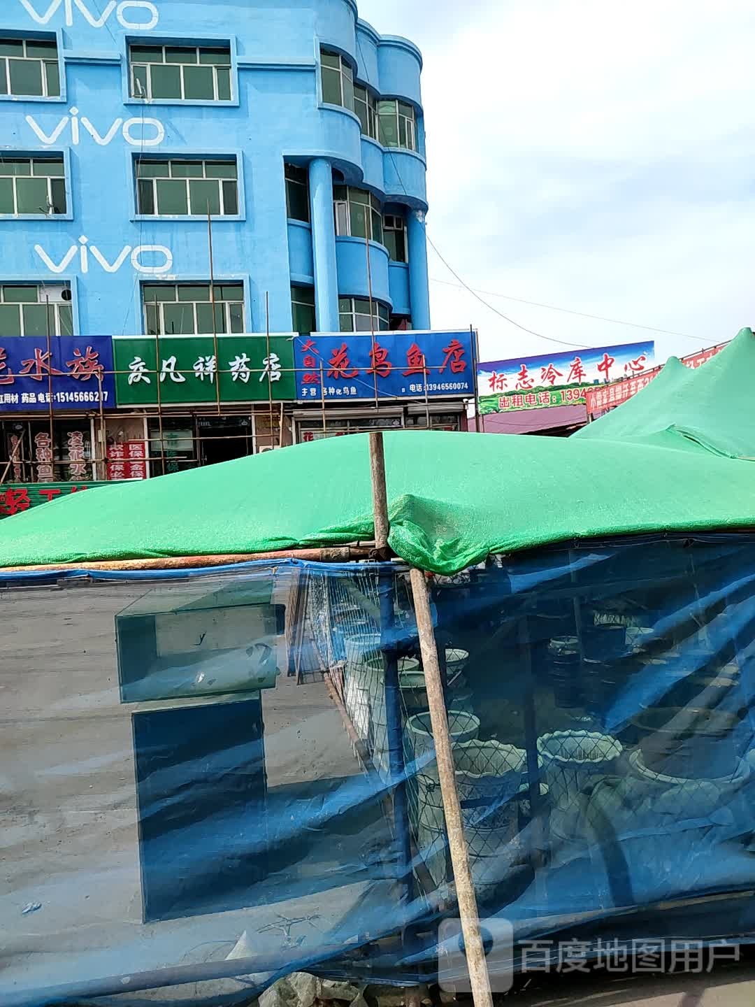 大自然花鸟鱼店