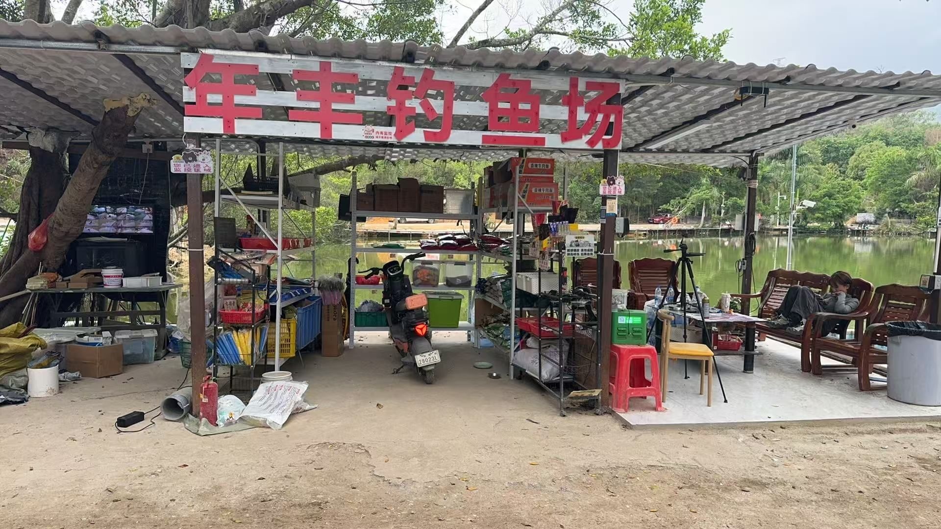 年丰钓鱼场(综合塘)