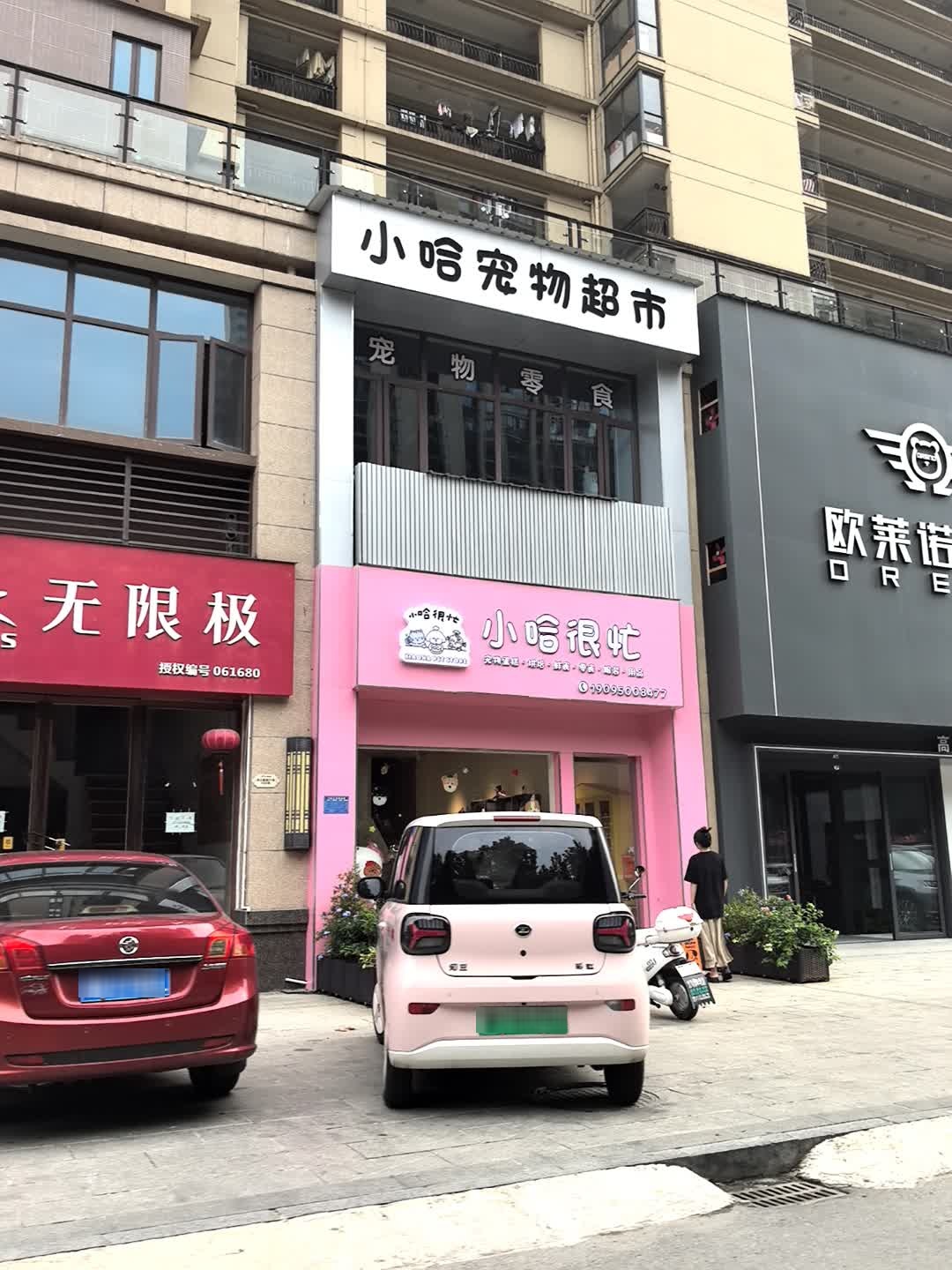 小哈很忙