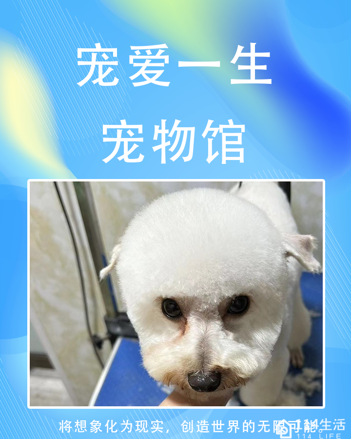小毛孩宠物·宠爱一生(合江店)