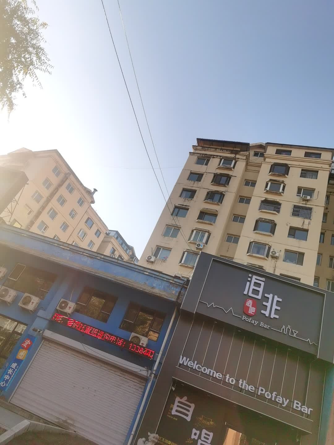 泊非酒吧