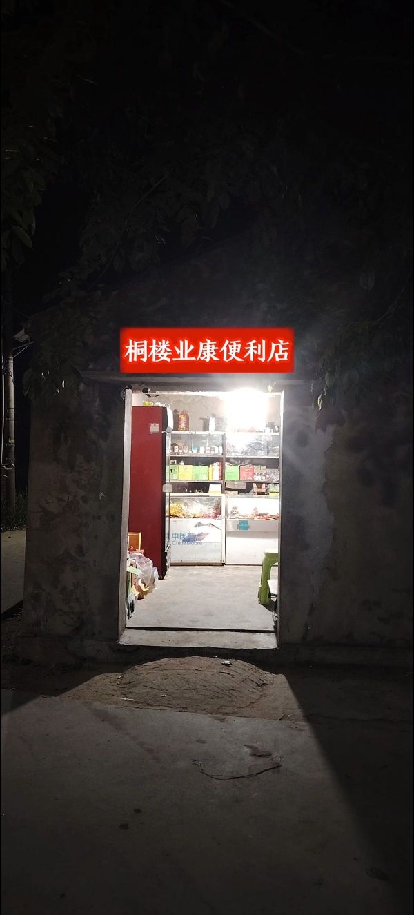 桐楼业康便利店