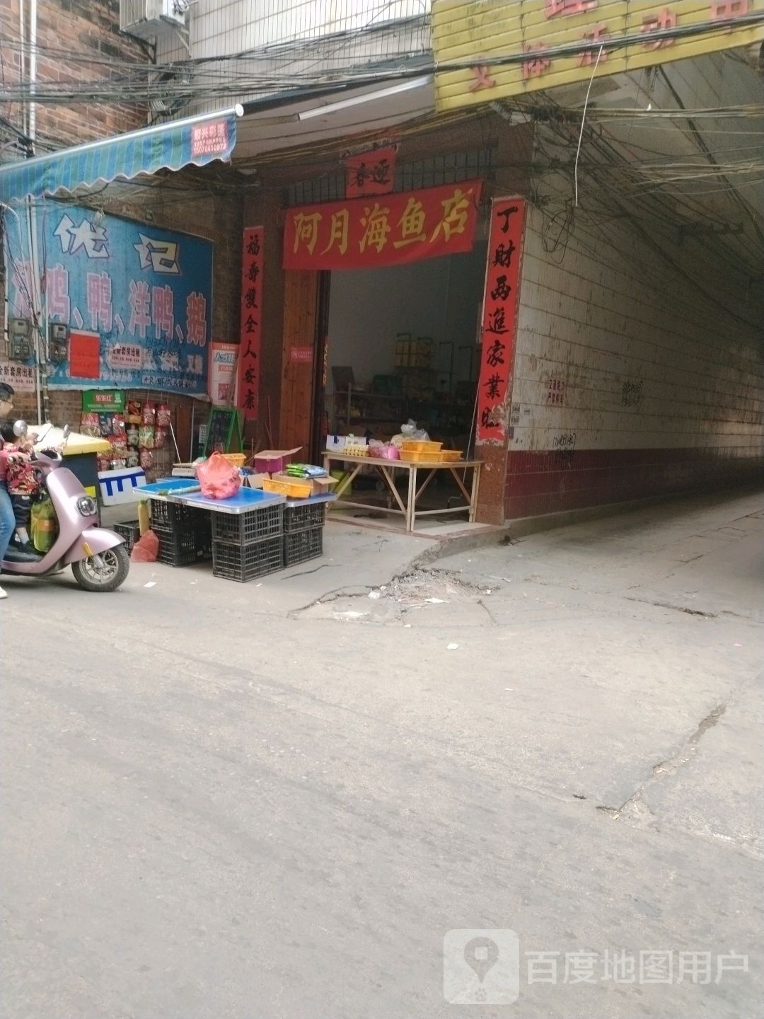 啊月海鱼