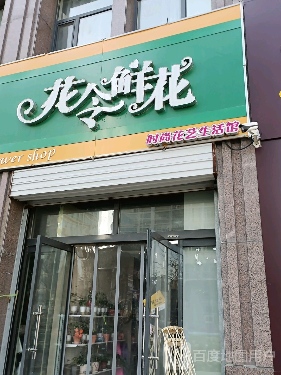 花令鲜花