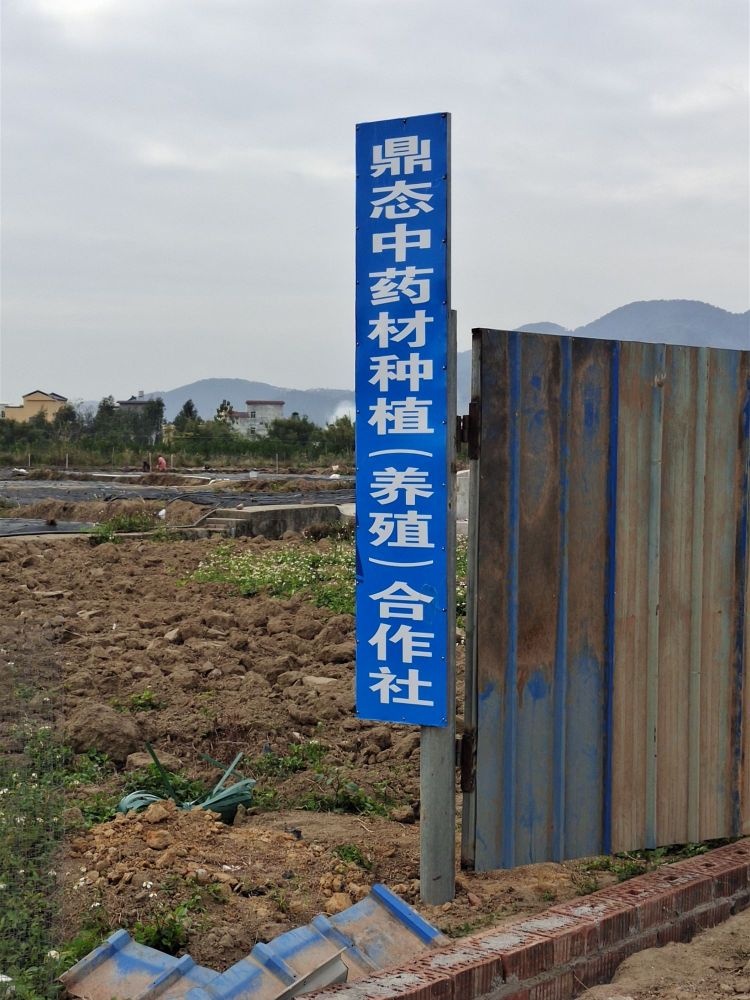 鼎态中药材种植(养殖)合作社