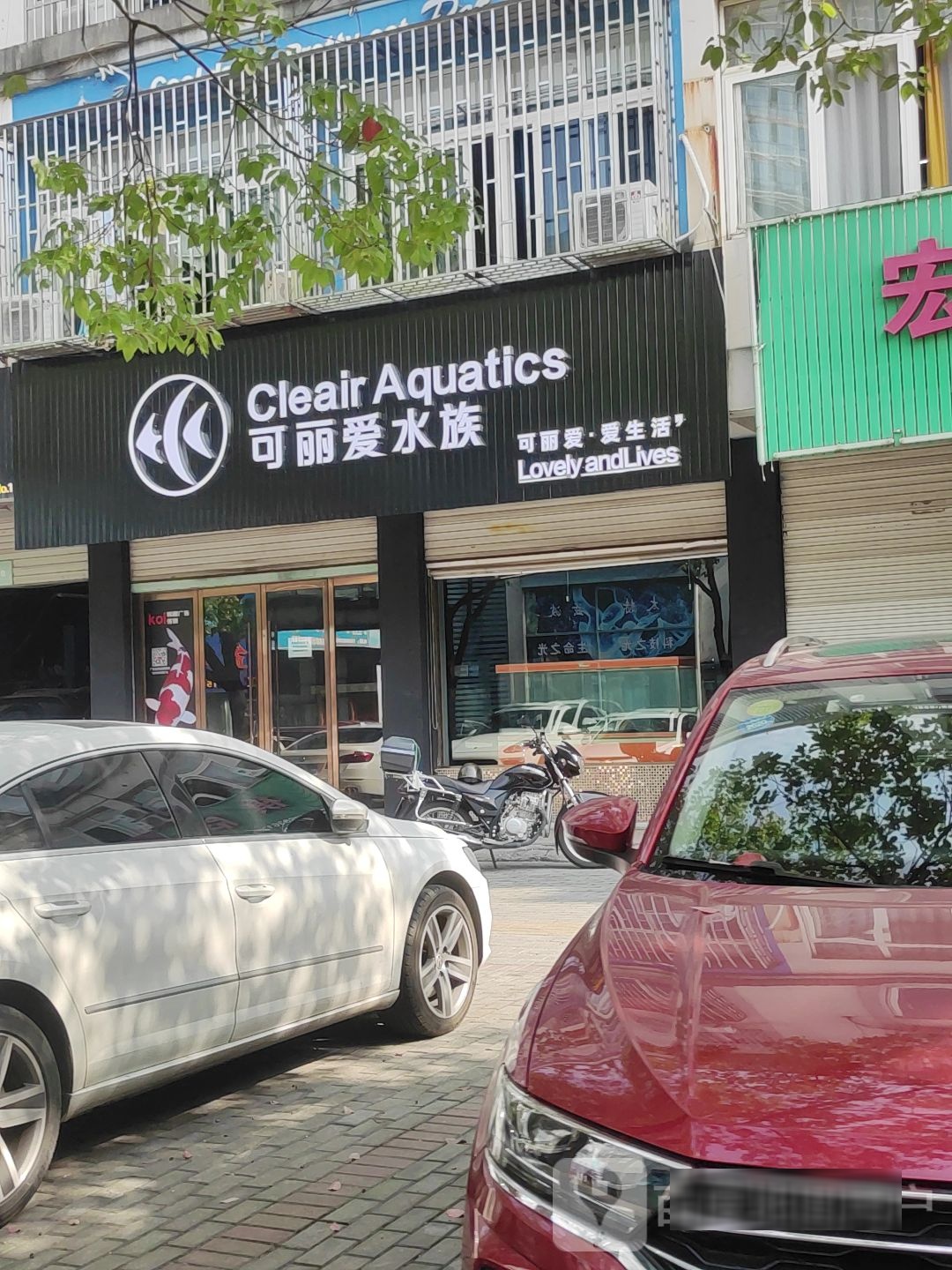 可丽宝爱水族(润丰步行街店)