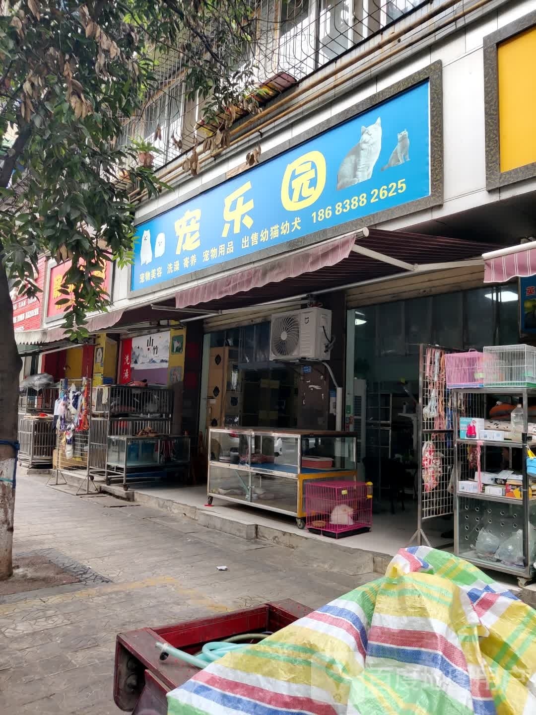 宠乐园(青山公寓店)
