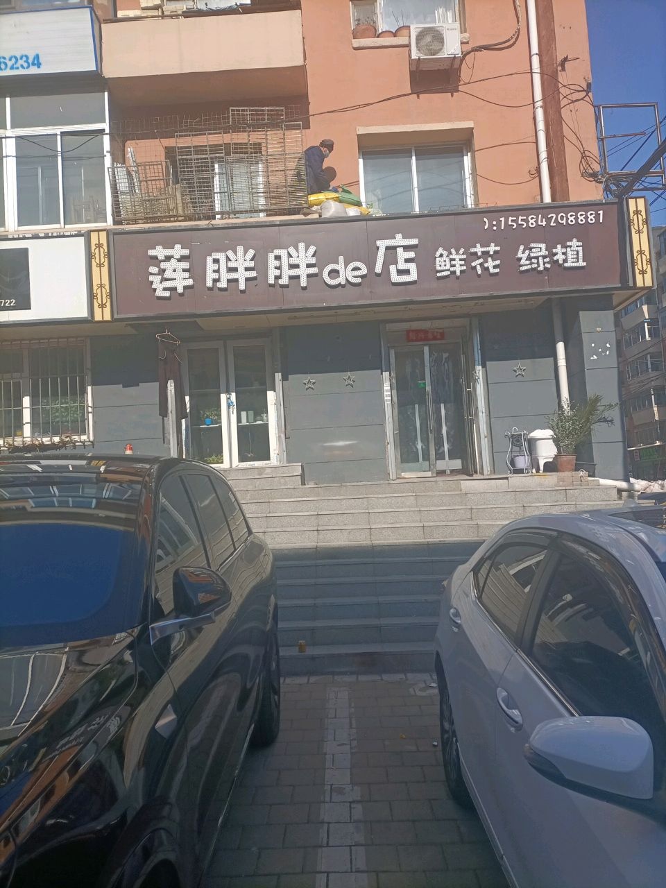 莲胖胖的店鲜花绿植