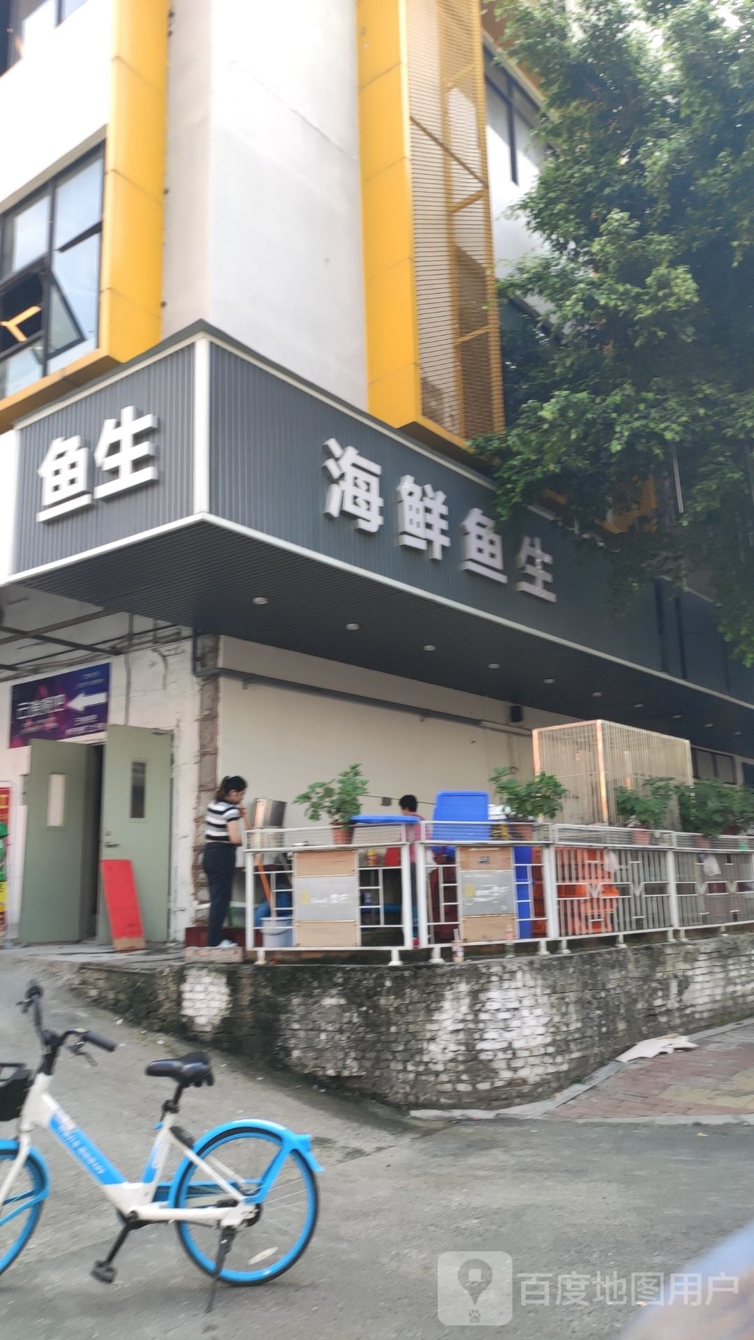 海鲜鱼生