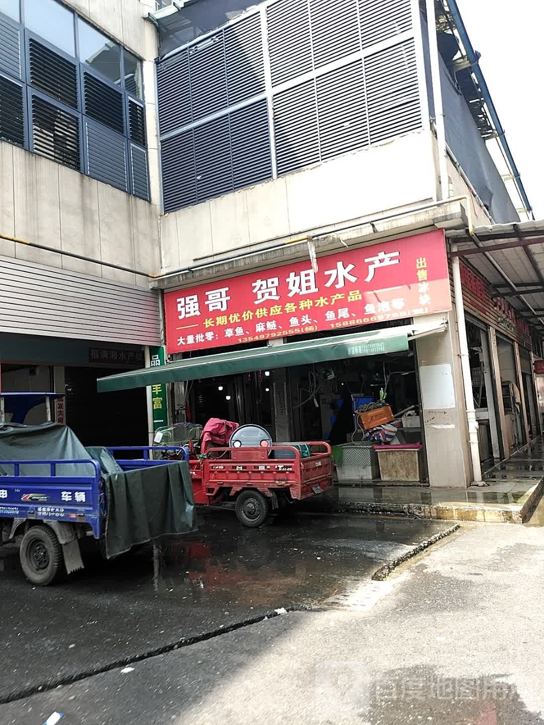 强哥贺姐水产