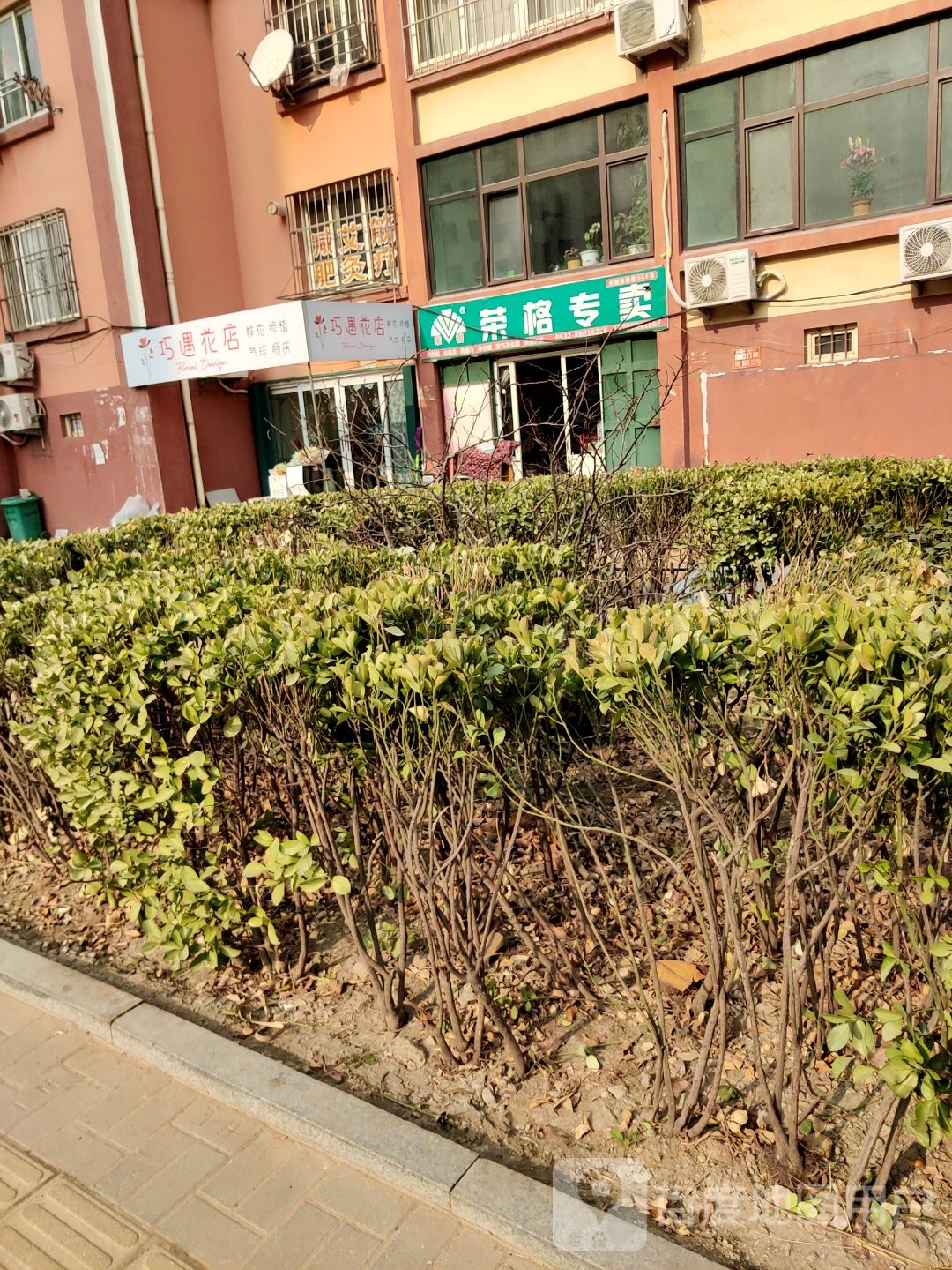 荣格专卖健康美容养生会