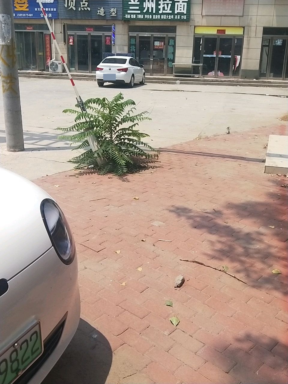 清真兰州拉面